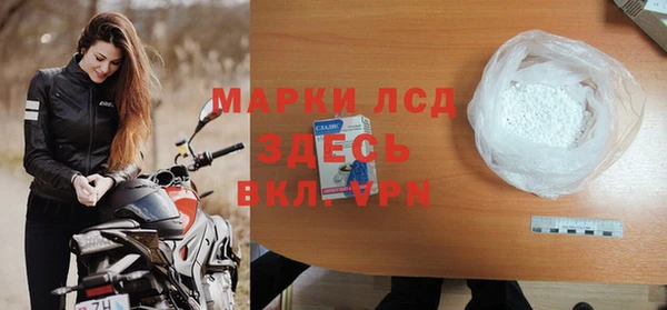 гидра Инсар