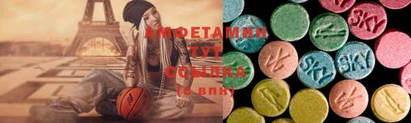 ешки Инта