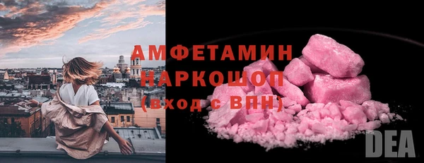 гидра Инсар