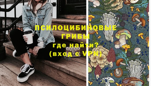 ешки Инта