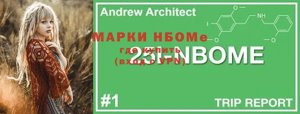 гидра Инсар