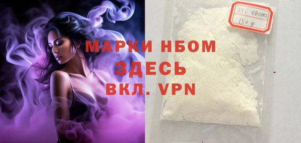 ешки Инта