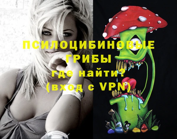 гидра Инсар
