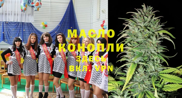 гидра Инсар