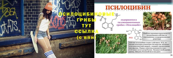 ешки Инта