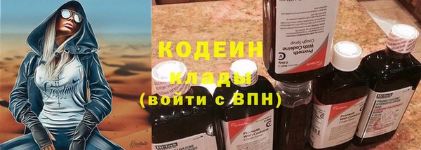 гидра Инсар