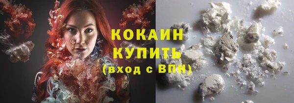ешки Инта