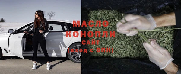 гидра Инсар