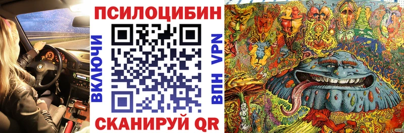 Псилоцибиновые грибы мицелий  Купить где  Переславль-Залесский 